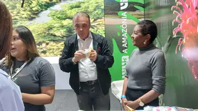 notícia: Pará reforça vocação para observação de no Avistar Brasil 2025, em São Paulo
