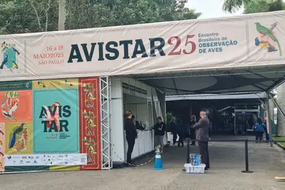 notícia: Pará reforça vocação para observação de no Avistar Brasil 2025, em São Paulo