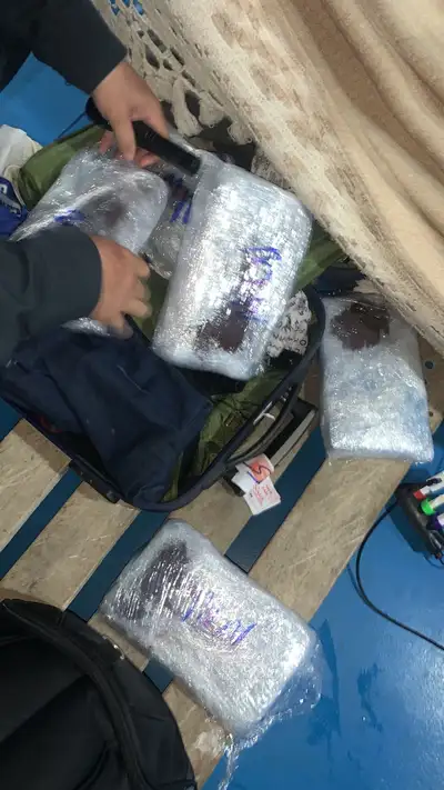 Crédito: Divulgação