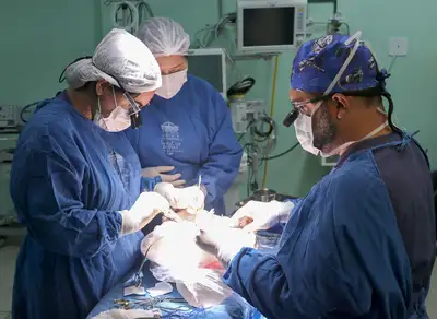 notícia: Doação de Órgãos garante transplantes aos pacientes atendidos pela Santa Casa