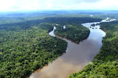 notícia: Ministra Marina Silva apoia estados na implementação do sistema jurisdicional de REDD+