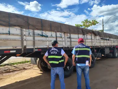 notícia: Fiscais da Sefa apreendem 24 metros cúbicos de madeira irregular na divisa do Pará com o Maranhão