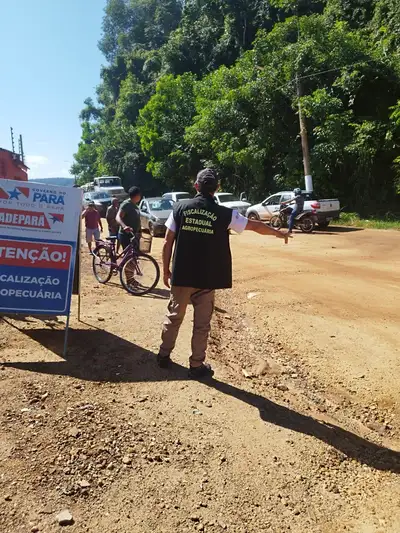notícia: Adepará adota novas regras sanitárias para o trânsito de aves e ovos no Pará