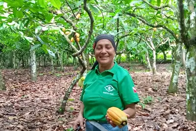 notícia: Em Vitória do Xingu, Emater capacita produtores de cacau para produção culinária