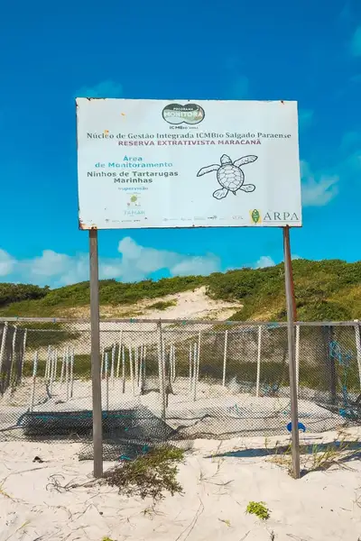 Crédito: Divulgação
