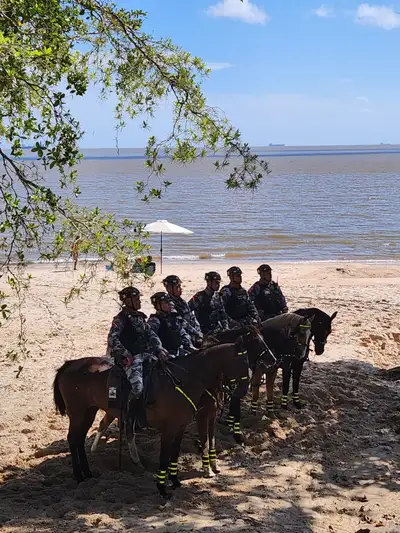 Crédito: Divulgação