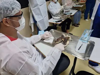 notícia: HGT promove oficina prática e fortalece a assistência prestada aos pacientes