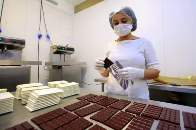 notícia: Governo investe na verticalização da produção de chocolate e criação de agroindústrias
