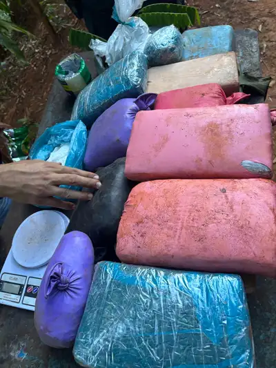 Crédito: Divulgação