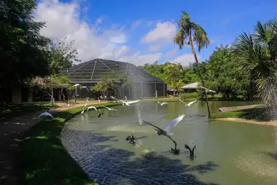 notícia: Belém lidera ranking de destinos emergentes do turismo brasileiro