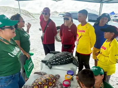 notícia: Educação ambiental mobiliza veranistas para proteção de tartarugas no Atalaia em Salinas