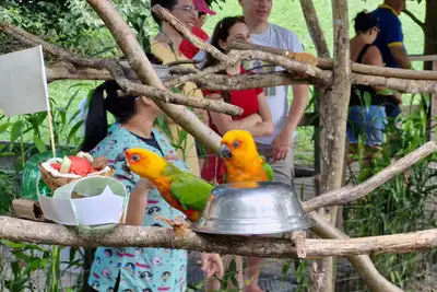 notícia: Animais do Mangal das Garças recebem alimentos gelados durante o verão amazônico