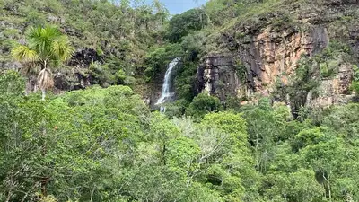 notícia: Nova trilha valoriza biodiversidade e saberes tradicionais na Serra das Andorinhas