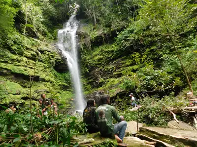 notícia: Nova trilha valoriza biodiversidade e saberes tradicionais na Serra das Andorinhas