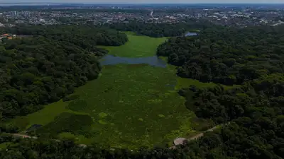 galeria: Limpeza do Lago Bolonha