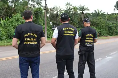 notícia: Adepará abre Processo Seletivo com 58 vagas para todos os níveis de escolaridade