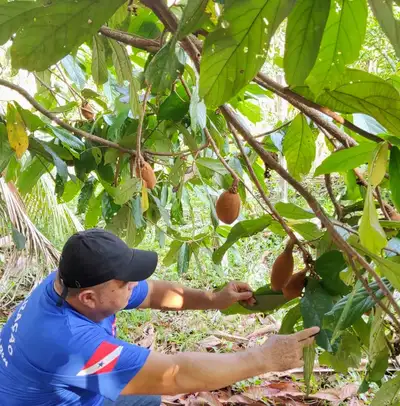 Crédito: Divulgação