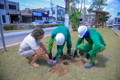 notícia: Comunidade participa das intervenções na Avenida Duque de Caxias com doação e plantio de árvores