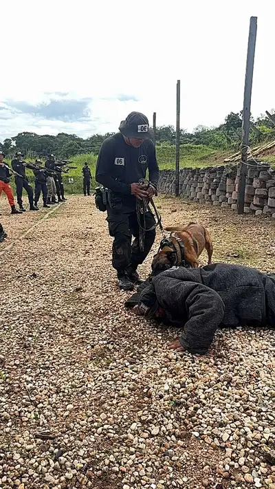 Crédito: Divulgação