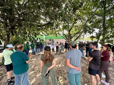 notícia: Ideflor-Bio planta 54 ipês amarelos e uma samaumeira para celebrar o Dia da Árvore