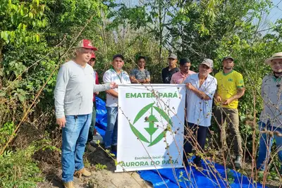 notícia: Emater incentiva agricultores de Aurora do Pará a cultivar malva como fonte de renda
