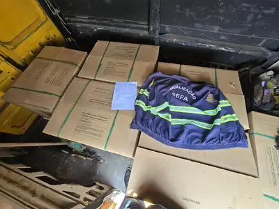 notícia: Sefa apreende peças eletrônicas no valor de R$ 317 mil em Conceição do Araguaia