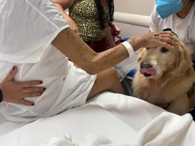 notícia: HOL celebra um ano do espaço exclusivo dedicado a cuidados paliativos oncológicos