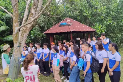 notícia: Semana de Proteção da Fauna celebra o Projeto de Reintrodução de Ararajubas no Parque Estadual do Utinga