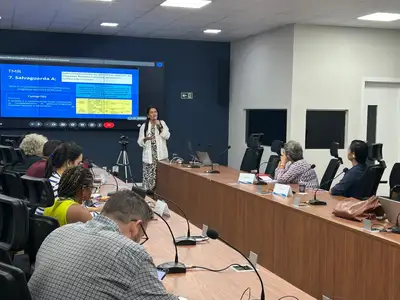 notícia: Pará avança no caminho para certificação de créditos de carbono em padrão internacional