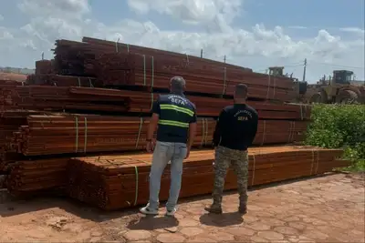 notícia: Sefa apreende 17,65 m³ de madeira em porto de Santarém