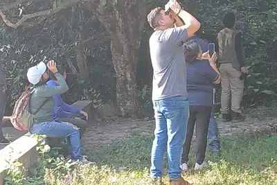 Crédito: Divulgação