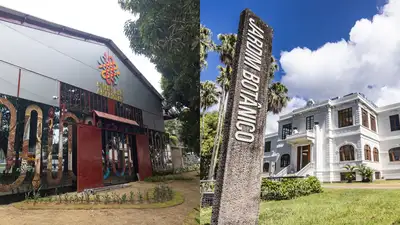 notícia: Museu das Amazônias e Museu do Jardim Botânico debatem impactos da redução das chuvas na floresta amazônica