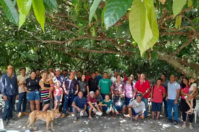 notícia: Emater realiza encontro de incentivo à produção de cacau em Mojuí dos Campos