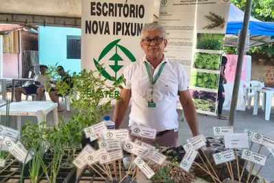 notícia: Emater orienta sobre plantas medicinais em Nova Ipixuna, na região sudeste do Pará