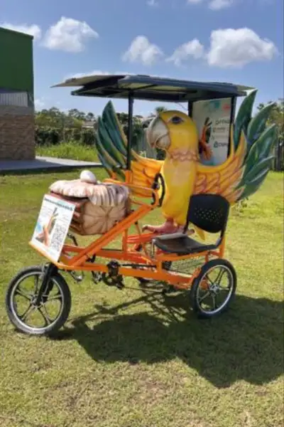 Crédito: Divulgação