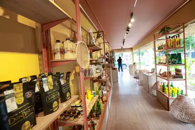 notícia: Plano Estadual de Bioeconomia beneficia mais de 400 mil famílias no Pará