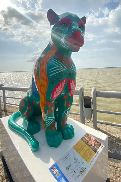 Crédito: Beatriz Santos/Ascom OS Pará 2000