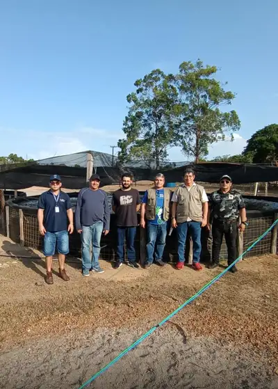 notícia: Sedap e governo do Amapá realizam intercâmbio para fortalecer cadeia do camarão-da-Amazônia