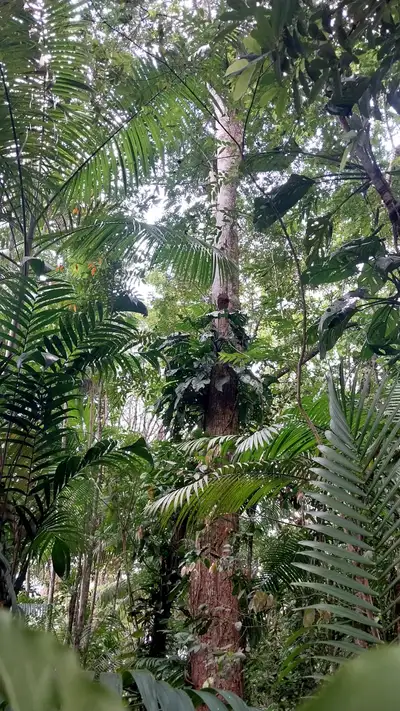 Crédito: Divulgação