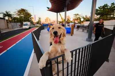 galeria: Entrega do Canal da Avenida Almirante Tamandaré e Parque Linear (atualização)