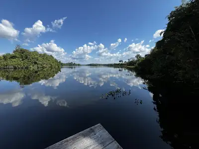 notícia: Adepará destaca rastreabilidade, produção sustentável e defesa agropecuária paraense na COP 30