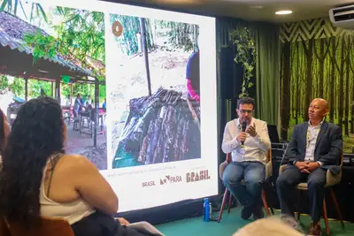 notícia: Mangue transforma a zona costeira paraense em modelo de sociobioeconomia