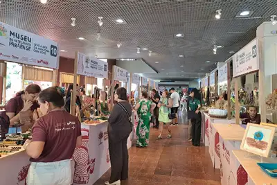 notícia: Museu do Artesanato paraense valoriza tradição cultura e  saberes 