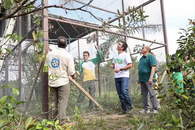 notícia: Ararajubas retomam os céus de Belém: soltura de 15 aves marca capítulo histórico na COP30