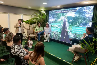 notícia: Pará mostra ao mundo, na COP30, como as árvores gigantes e áreas protegidas fortalecem a agenda climática na Amazônia