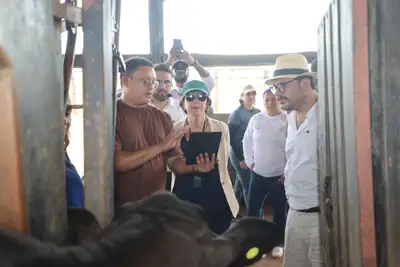 notícia: Governo do Pará apresenta programa Pecuária Sustentável para Organização Mundial de Saúde Animal 