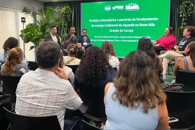 notícia: Semas apresenta avanços no manejo comunitário da ostra durante painéis na COP30