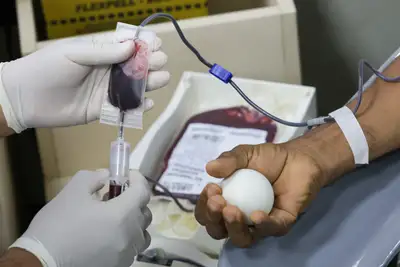 notícia: Hemopa deve fechar 2025 com mais de 100 mil doações de sangue no Pará