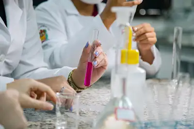 notícia: Uepa realiza Encontro online sobre formação de professores de Química nos dias 2 e 4