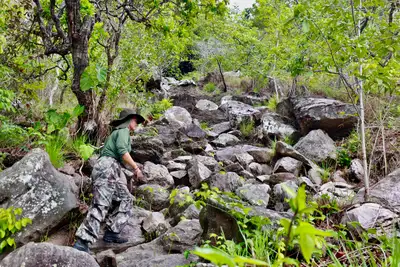 notícia: No Pará, Cotas de Proteção Ambiental aproximam produção rural da preservação da floresta
